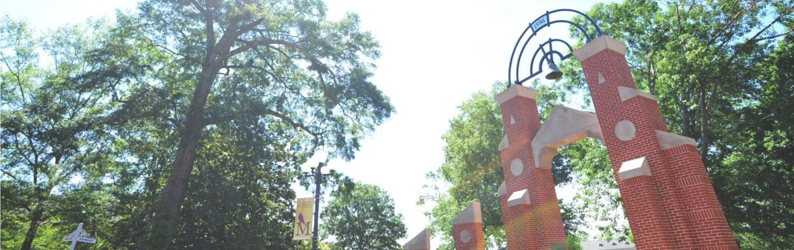 About the University