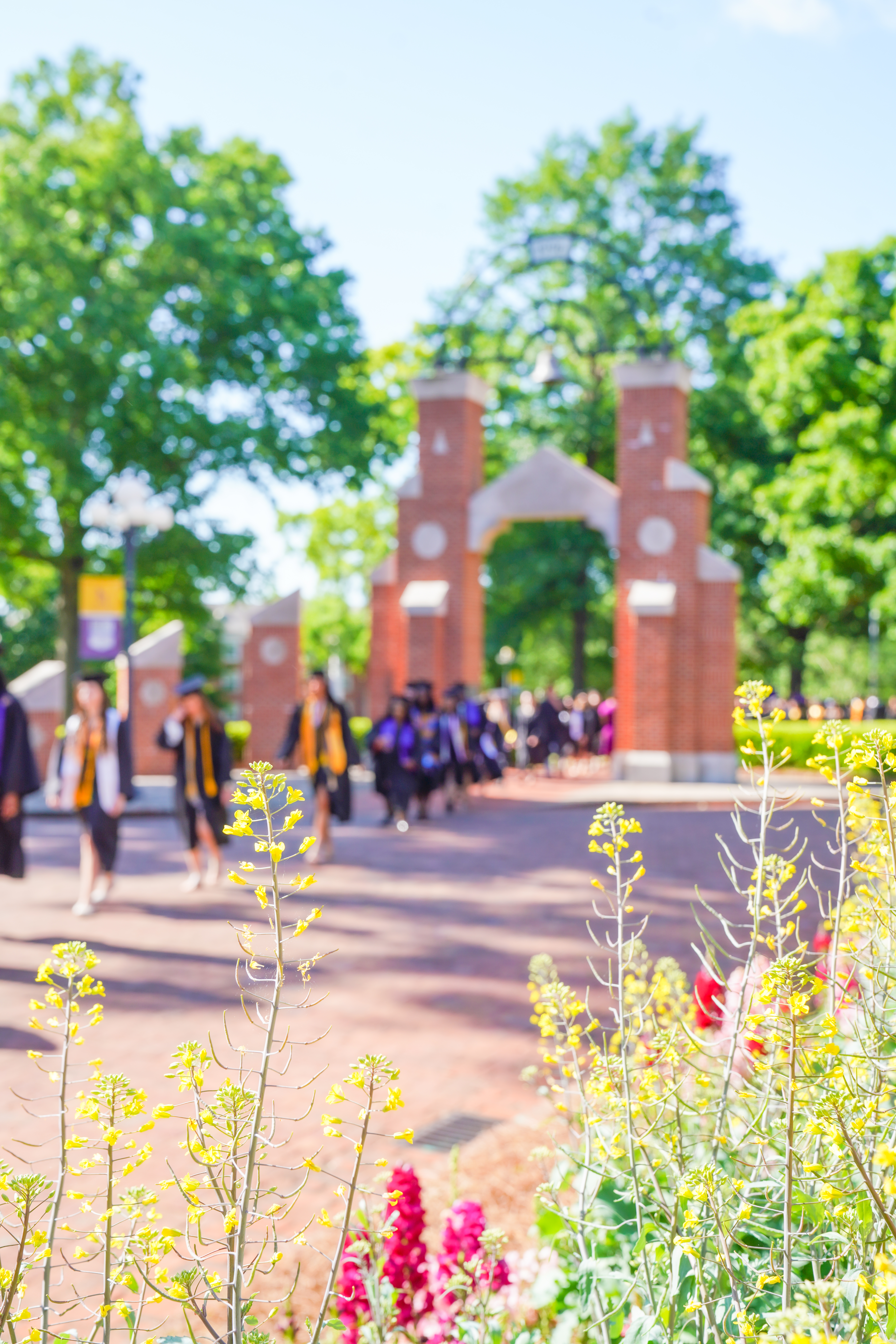 Montevallo UM graduating students walking under bricked arch