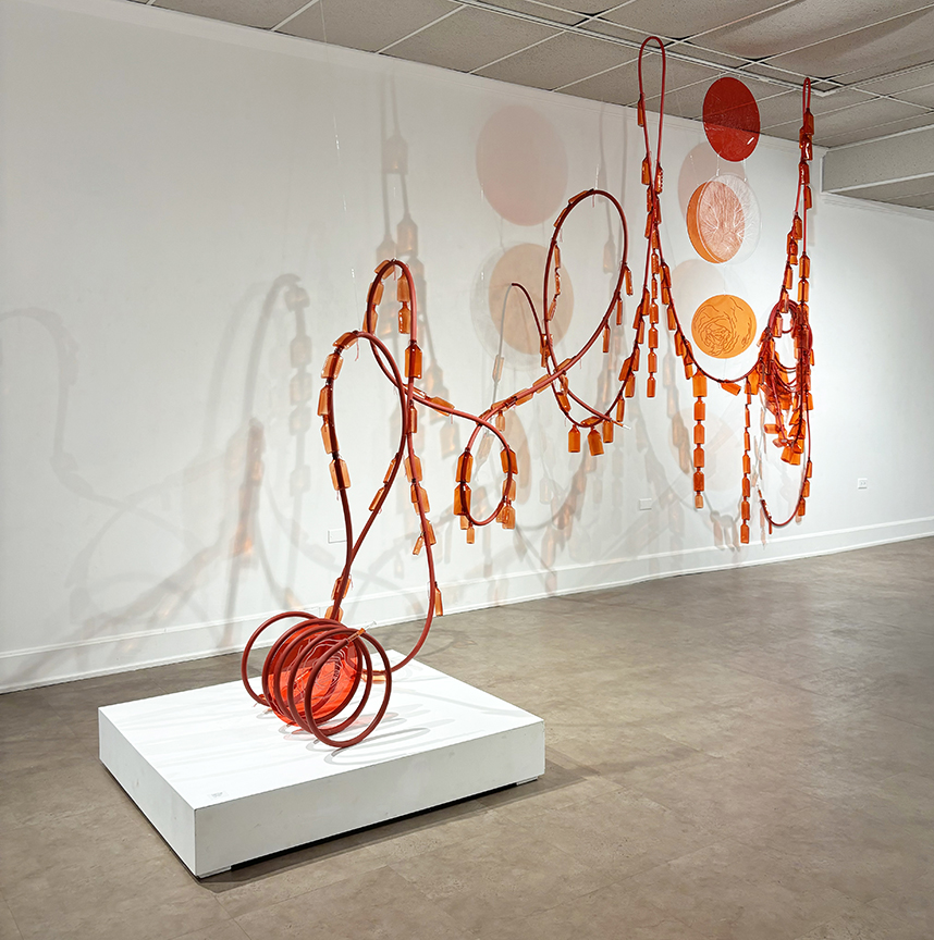 Haley_Joyce_Oliver_BFA_Exhibition