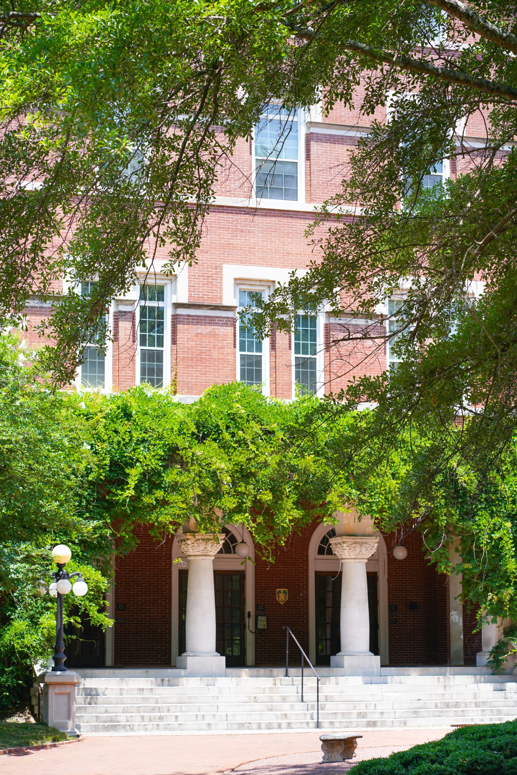 SummerCampus08_aGreen