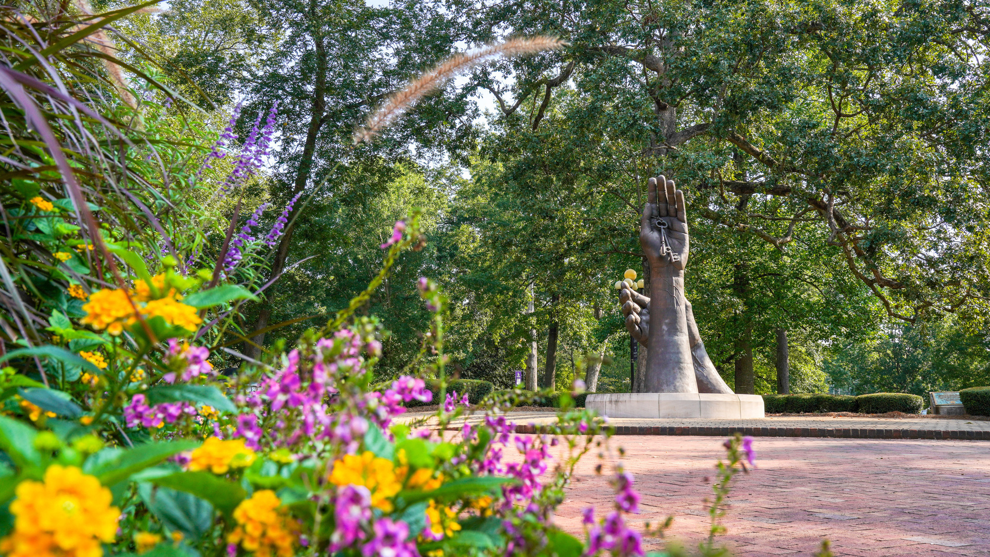 Becoming_fall01_aGreen