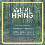 Logo Resize 150x150 4