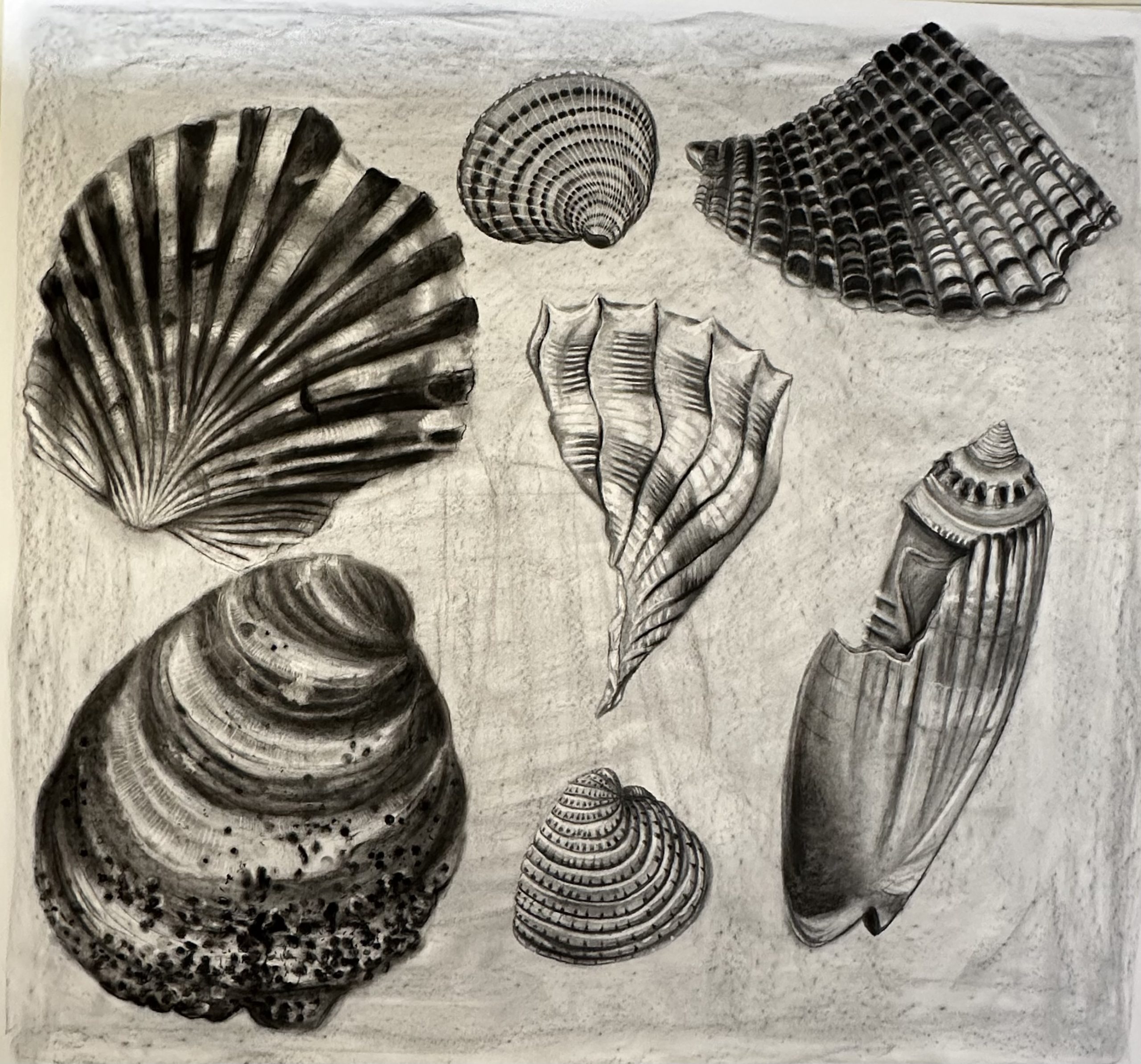student work in Joe Bennett's Drawing class