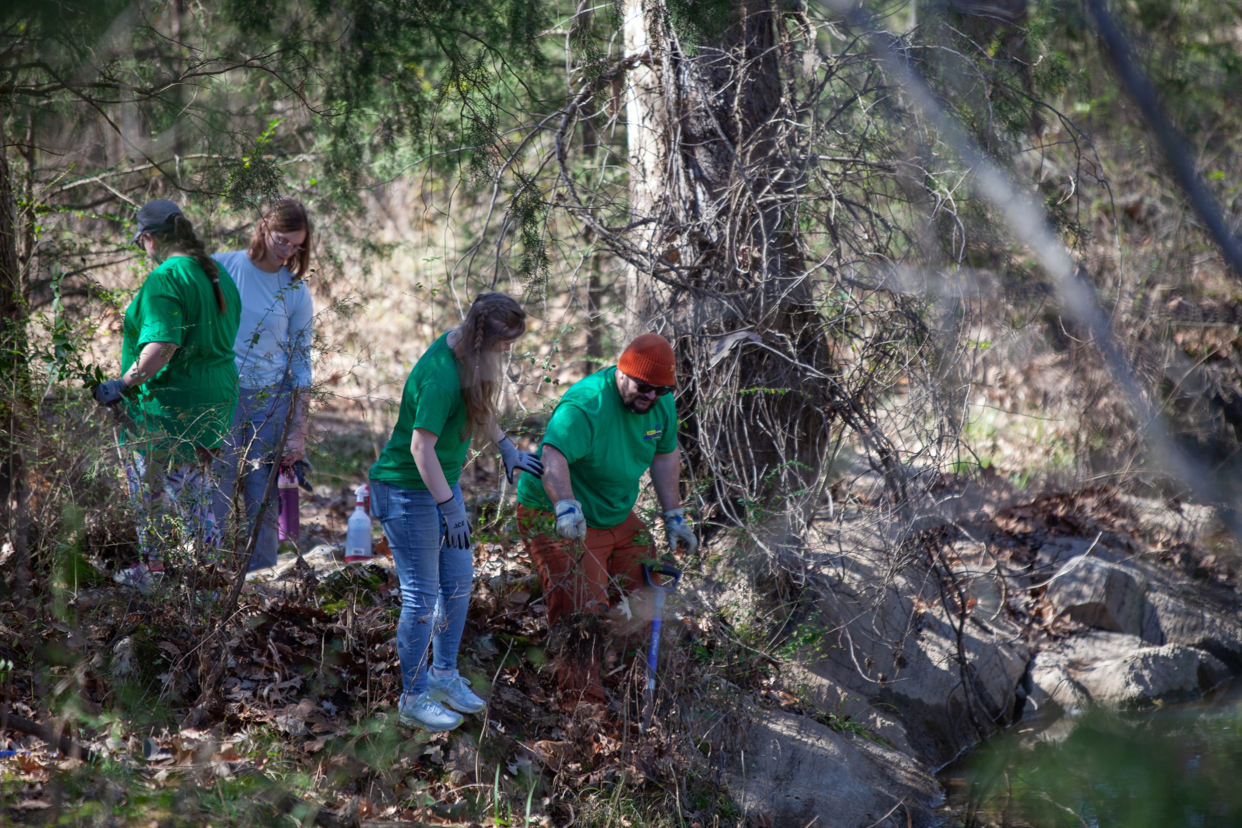 Vallo Volunteers at Shoal Creek Park Privet Pull 2.28.2026