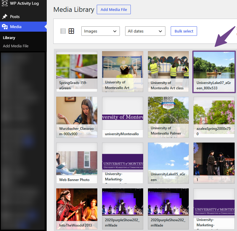 WordPress Media Gallery