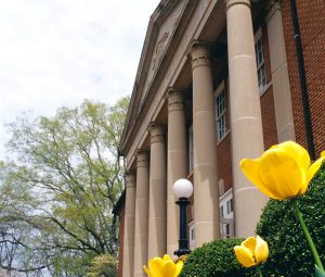 Yellow flower with Palmer Hall as background