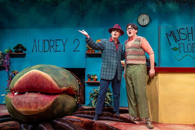 Little Shop Of Horrors seen with oversize flower